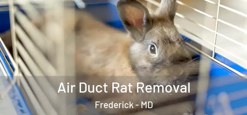 Air Duct Rat Removal Frederick - MD