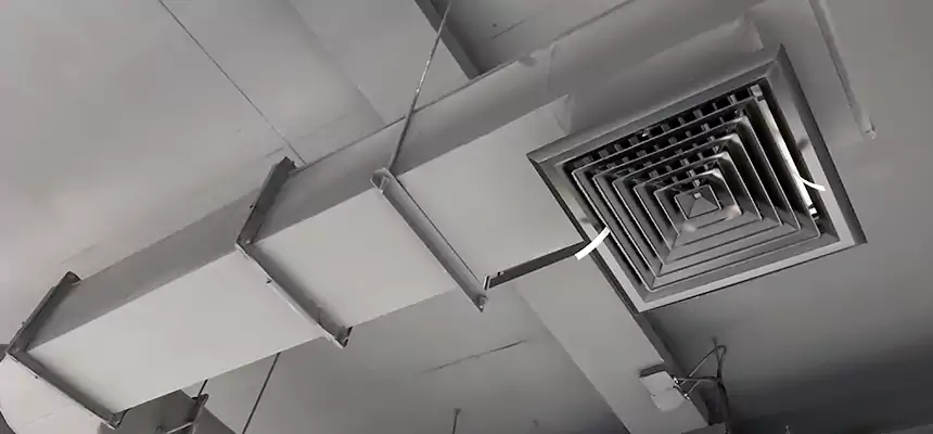 Our Pest Removal From Ducts Services in Frederick, MD