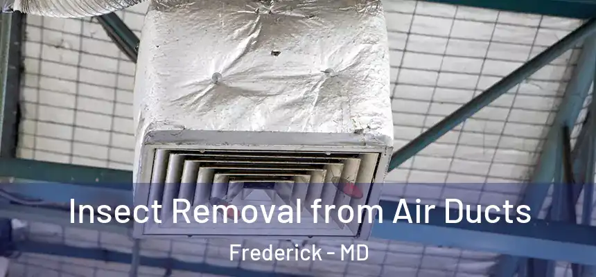Insect Removal from Air Ducts Frederick - MD