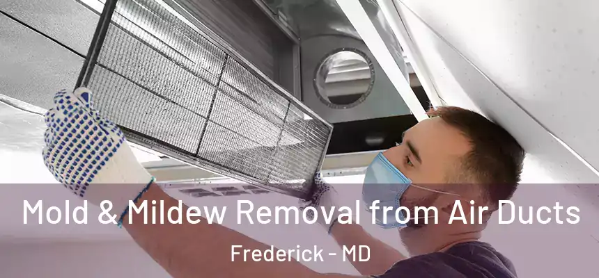 Mold & Mildew Removal from Air Ducts Frederick - MD