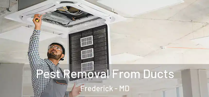 Pest Removal From Ducts Frederick - MD