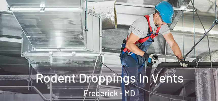Rodent Droppings In Vents Frederick - MD