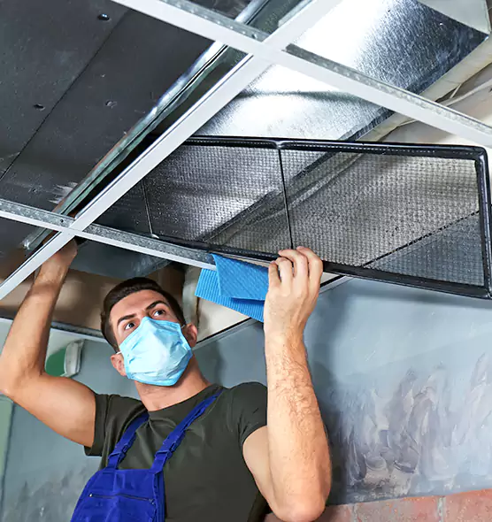Professional Air Duct Pollen Cleaning in Frederick, MD