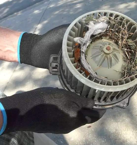 About Air Duct Rat Removal in Frederick, MD