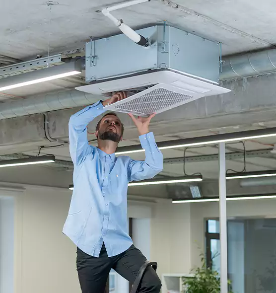 Advanced Rodent Droppings In Vents in Frederick, MD