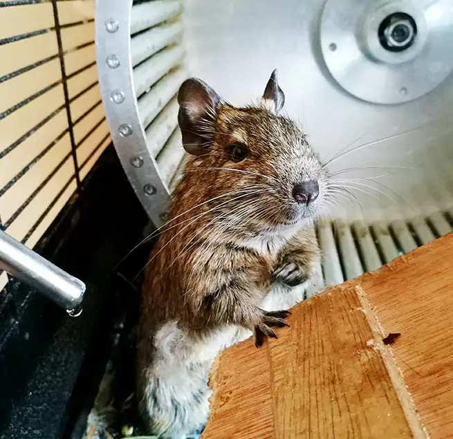 Why Homeowners & Businesses Trust Us Frederick, MD?